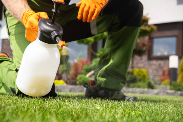 Professional Pest Control in Weston, OH