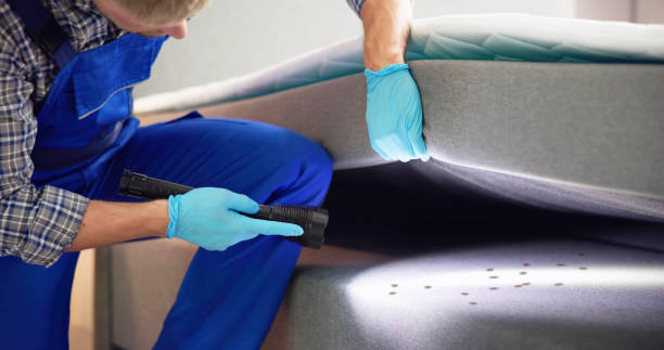 Best Cockroach Control Services  in Weston, OH