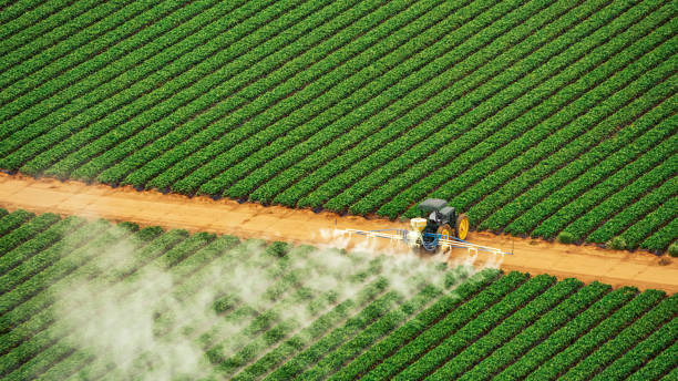 Best Commercial Pest Control Services  in Weston, OH