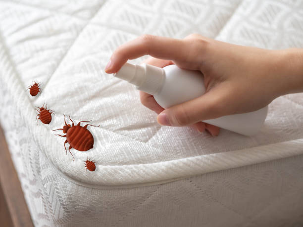 Pest Control for Restaurants in Weston, OH