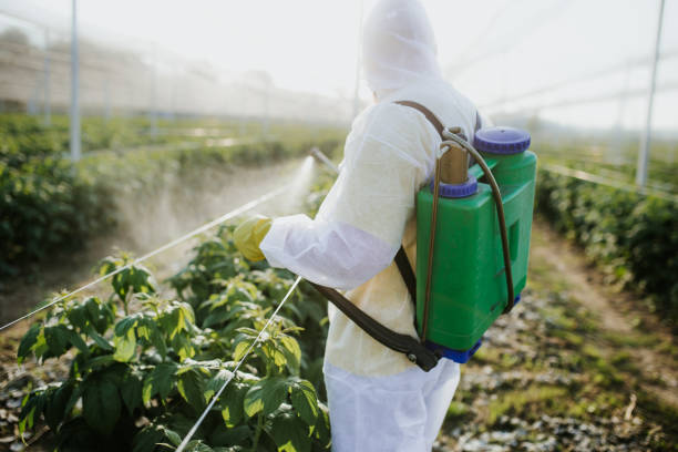 Best Bed Bug Extermination  in Weston, OH